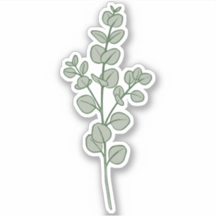 Üppige Salbei-Grün-Eukalyptus-Botanik-Ästhetik Aufkleber