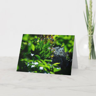 Üppiger grüner Garten Karte