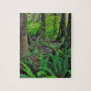Üppiger grüner Wald landschaftlich Puzzle