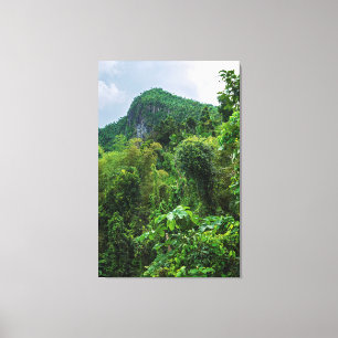 Üppiger Regenwald und El-Yunque-Gipfel Leinwanddruck