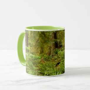 Üppiger Wald & Farne   Ecola State Park, Oregon Tasse