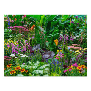 Üppiges englisches Cottage-Garten-Sommerblumen-Fot Fotodruck
