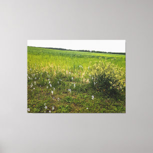 Üppiges Feld mit Wildblumen Leinwanddruck