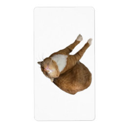 Upside-Down Sunshine