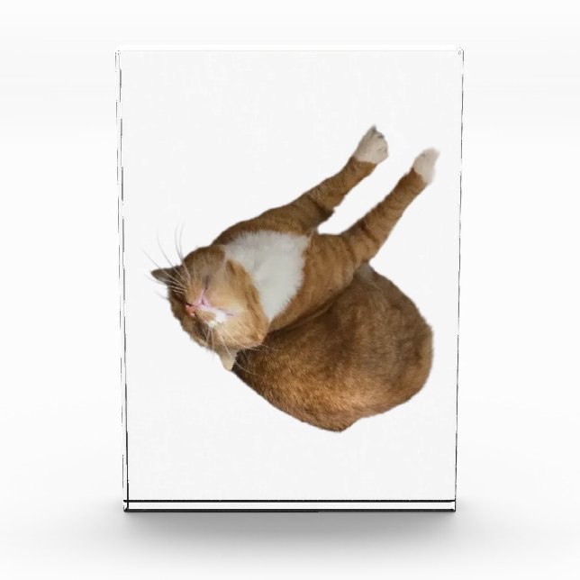 Upside-Down Sunshine Fotoblock (Vorderseite)