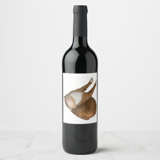 Upside-Down Sunshine Weinetikett (Vorderseite)