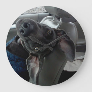 Upside-down Weimaraner Wall Clock Große Wanduhr