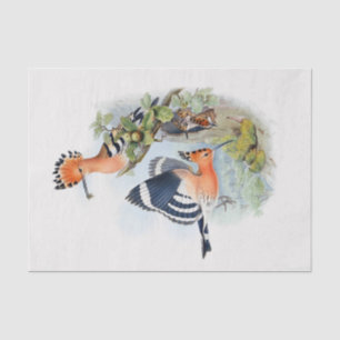 Upupa Epops Decoupage Seidenpapier