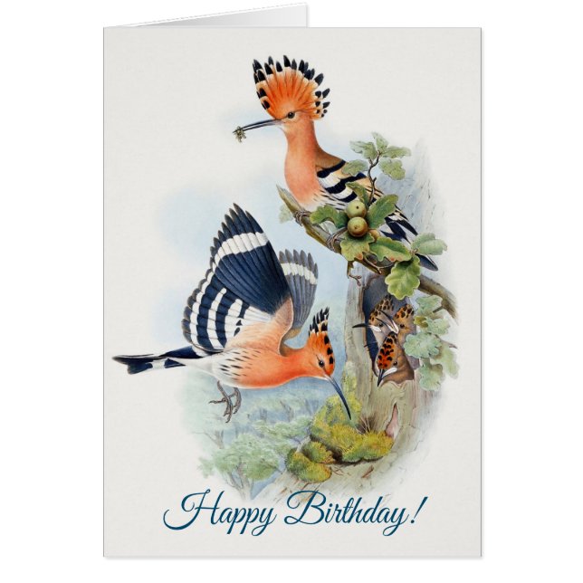 Upupa Epops Happy Birthday (Vorne)