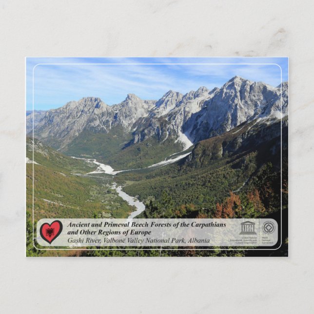 Uralte Buchenwälder und Urwald - Fluss Gashi Postkarte (Vorderseite)