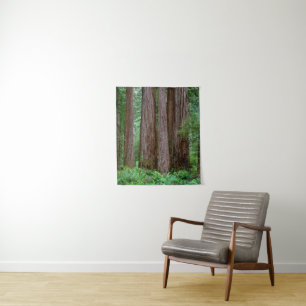 Uralte Redwoods ragen empor Wandteppich