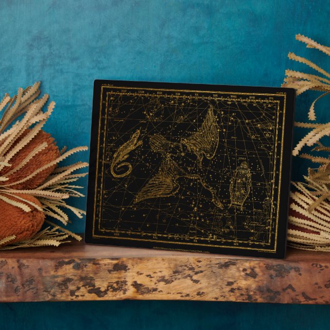 Urania Mirror Celestial Map Gold und Black Fotoplatte (Seite)