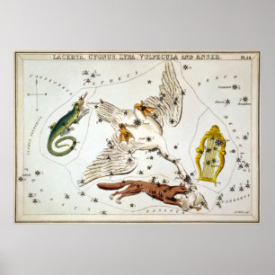 Urania-Spiegel - Lacerta, Cygnus, Lyra, Vulpecula Poster