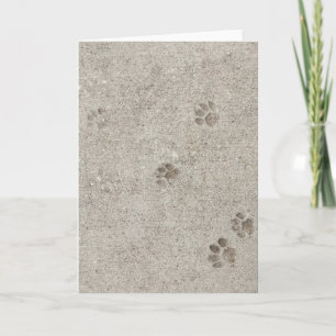 Urban Archaeology, Pawprint #2 Blank Greeting Card Karte