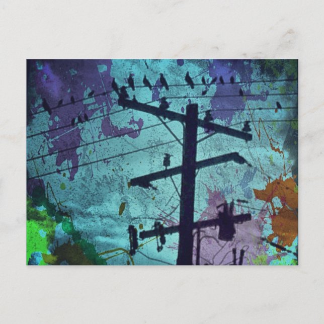 Urban Bird's Life Postcard Postkarte (Vorderseite)