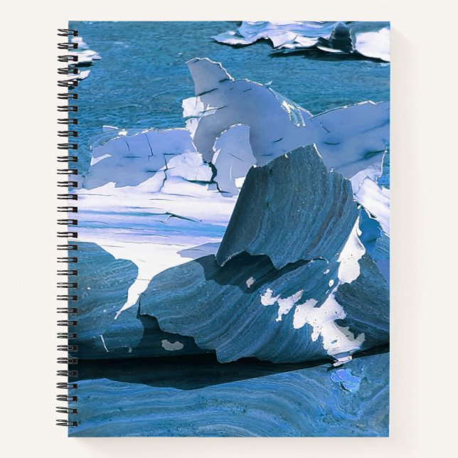 Urban Decay - Eine Studie über das Peeling von Pai Notizbuch (Vorderseite)