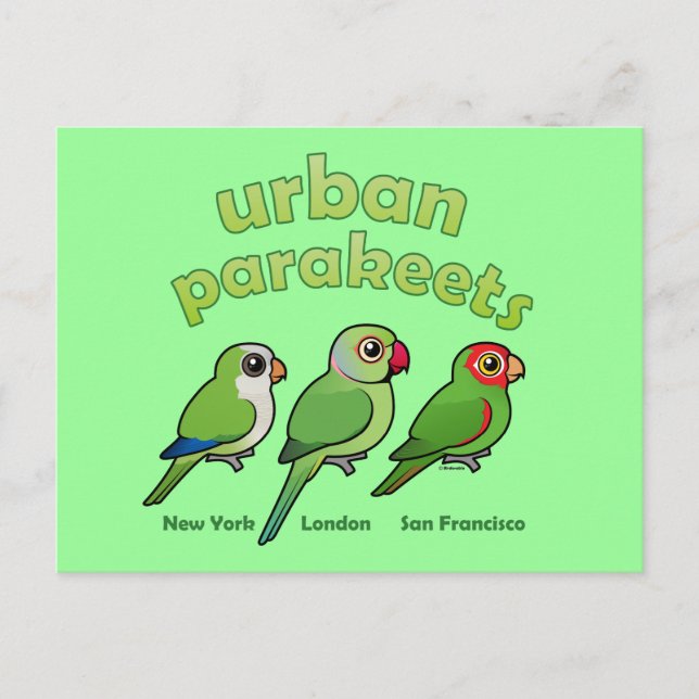 Urban Parakeets Postkarte (Vorderseite)