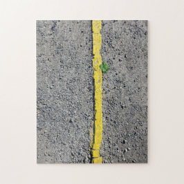 Urban Resilience - Urban Geometry Puzzle