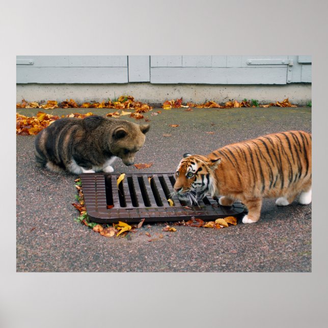 Urban Waterhole Poster (Vorne)