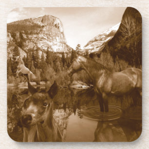 Ureinwohner Amerikas Untersetzer