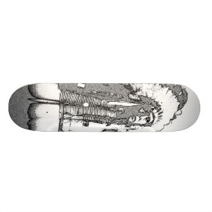 Ureinwohner-Leiter Skateboard