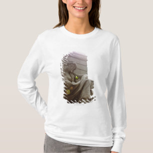 Ureinwohner-nationales Museums-Statue T-Shirt