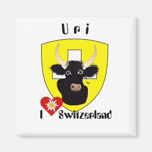 Uri Schweiz Suisse Svizzera Svizra Magnet