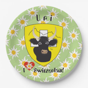 Uri Schweiz Suisse Svizzera Svizra Teller