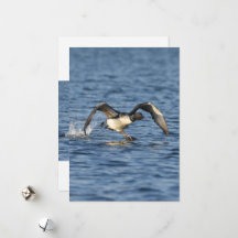 Urlaubskarte "Big Foot Love Flat"