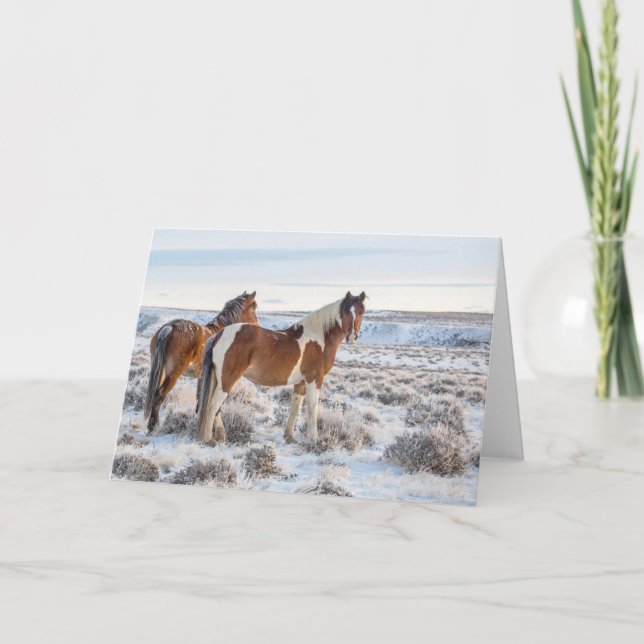 Urlaubskarte "Frozen Dawn" Karte (Vorderseite)