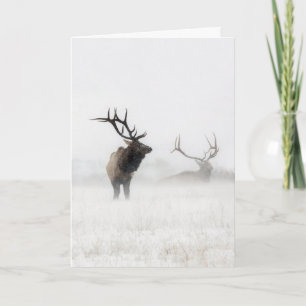 Urlaubskarte "Lost in Storm" Karte