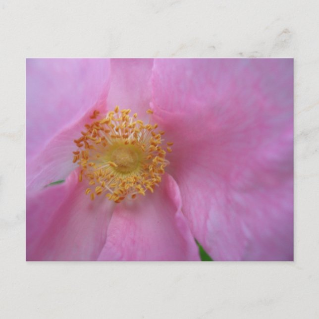 Urlaubspostkarte Feiertagspostkarte (Vorderseite)