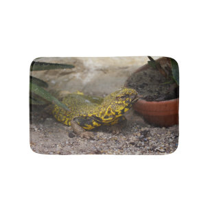 Uromastyx geyri badematte