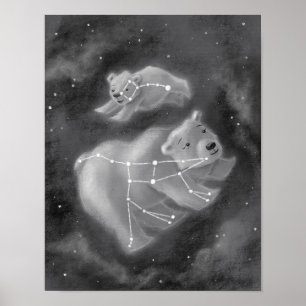 Ursa Major und Ursa Mini Bären Poster