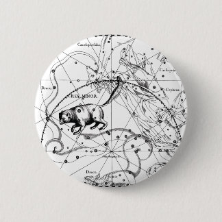 Ursa Minderjähriger Button