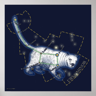 Ursa Minor (Poster) Poster