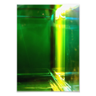 Ursprüngliche Kunst: "helle Geometrie: Chlorophyl Fotodruck