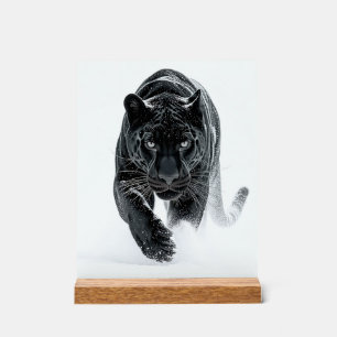 Ursprüngliche Macht 002 – schwarzer Panther Acrylschild