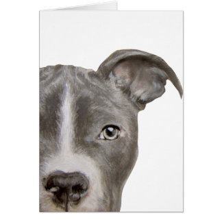 Ursprüngliche Malerei und Entwurf der Pitbull
