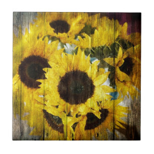 Ursprüngliche Scheunen-hölzerne Fliese