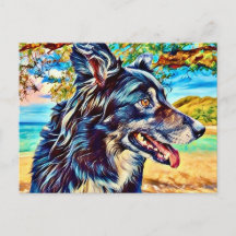 Ursprüngliches Border Collie-Hundeporträt Naturkun