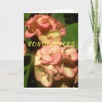 Ursprüngliches Foto und Zeichnen auf