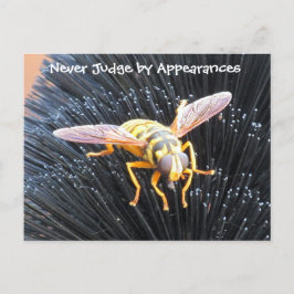 Urteilen Sie niemals nach Erscheinungen: Bee Postc Postkarte