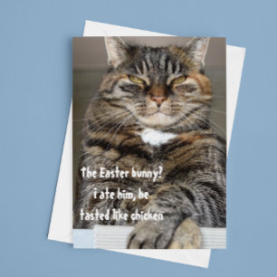 Urteilende Katze aß Osterhasen Humor Lustig Feiertagskarte
