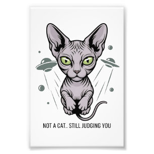 Urteilende Sphynx-Katze in Weltraum-Kunst Fotodruck