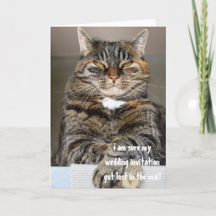 Urteilende wütende Katze verlorene Hochzeitseinlad Einladung