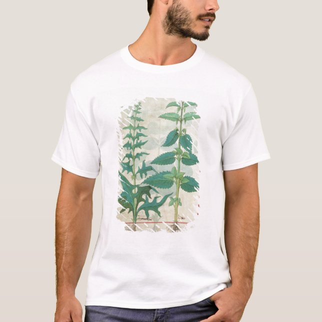 Urticaceae T-Shirt (Vorderseite)