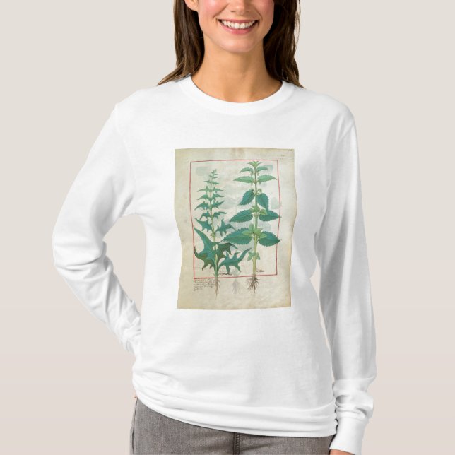 Urticaceae T-Shirt (Vorderseite)