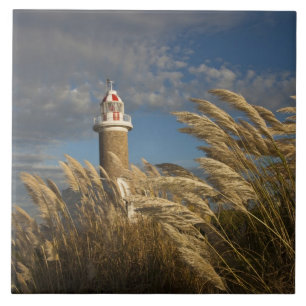 Uruguay, Departamento Montevideo, Montevideo. 2 Fliese