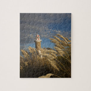 Uruguay, Departamento Montevideo, Montevideo. 2 Puzzle